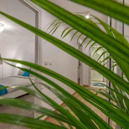 Podwika Rodzinne Z Widokiem Na Góry - *